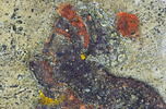 métope, image 6/10
