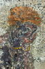 métope, image 8/10