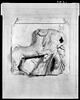 Dixième métope sud du Parthénon, centaure et femme lapithe, image 12/13