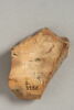 arula, image 2/2