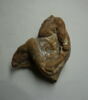 relief, image 1/2