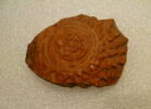 bol, image 1/2