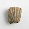 vase, image 1/2