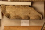 couvercle de sarcophage, image 2/4