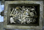 urne, image 5/5