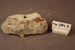 chapiteau d'ante, image 2/2