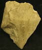 Fragment d'une inscription grecque, image 1/2