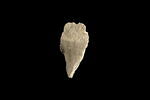 Fragment d'une inscription grecque, image 2/2
