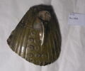 vase, image 1/2