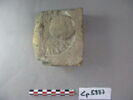 brique, image 2/3