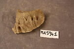 Fragment de décor végétal, image 1/2