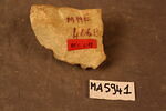 Fragment de décor végétal, image 2/2