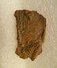 vase ouvert, image 1/2