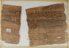 Papyrus, image 2/2