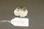 Fragment de mosaïque, image 2/2