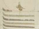 Berat avec tugra du sultan Mahmud II, image 5/6