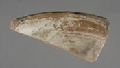Fragment de fond de coupe, image 1/2