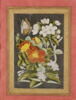 Fleurs et papillon, image 4/6