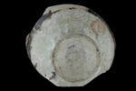 Fond de coupe, image 2/2