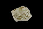 Fond de coupe, image 1/2