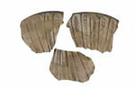 Coupe fragmentaire, image 4/4
