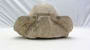 modèle de sculpteur, image 5/5