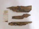 cercueil ; fragment, image 2/2