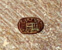 scarabée, image 7/7