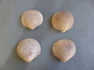 bijou, image 1/2