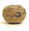 aryballe, image 5/5