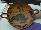 coupe, image 1/2