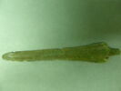 arme ; couteau, image 2/2