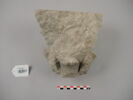 chapiteau ; fragment, image 2/2