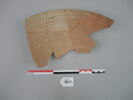 vase ; fragment, image 2/2