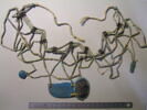 collier ; résille ; scarabée funéraire ; aile de scarabée funéraire ; amulette, image 1/4