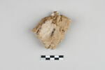 bouchon de jarre ; empreinte de sceau, image 3/3