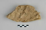 bouchon de jarre en calotte  ; empreinte de sceau, image 2/2