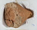bouchon de jarre conique ; empreinte de sceau, image 2/4