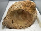 bouchon de jarre conique ; empreinte de sceau, image 5/5