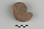 bouchon de jarre ; empreinte de sceau, image 2/3