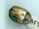 scarabée, image 2/2