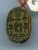 scarabée, image 1/2