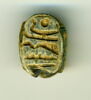 scarabée, image 1/2
