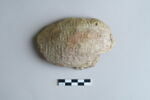 bouchon de jarre, image 1/6