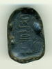 scarabée, image 1/4
