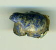 scarabée, image 1/2