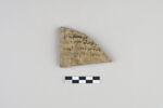 ostracon, image 1/3