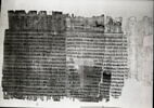 papyrus funéraire, image 3/3