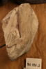 relief architectural, image 1/2