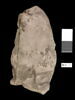 ostracon, image 1/2